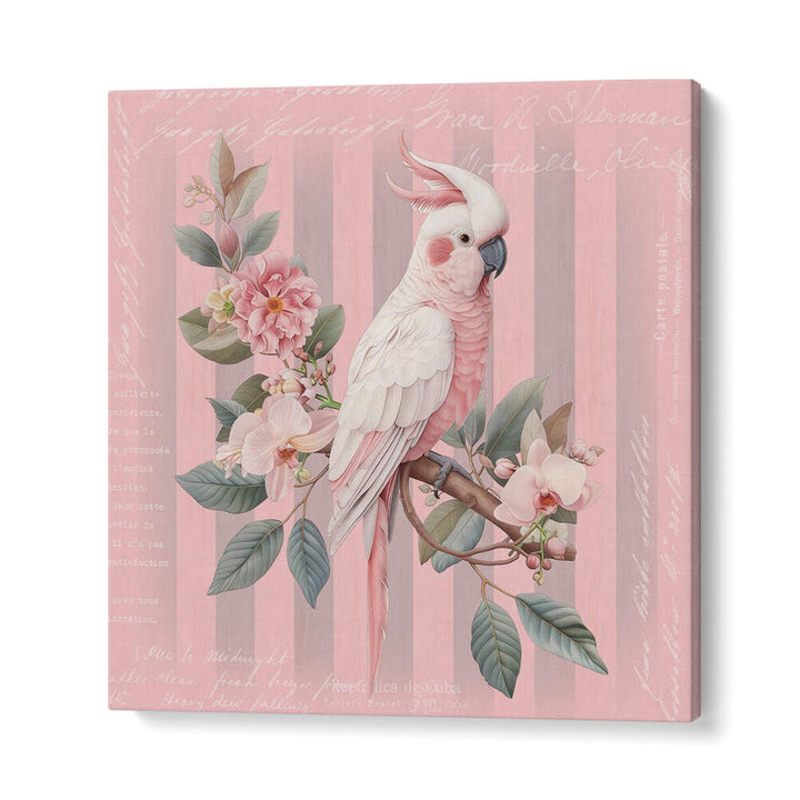 COCKATOO PASTEL PINK , ANIMAL PAINTINGS