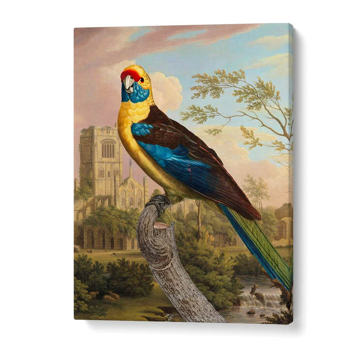 COLORFUL PARROT RUINS