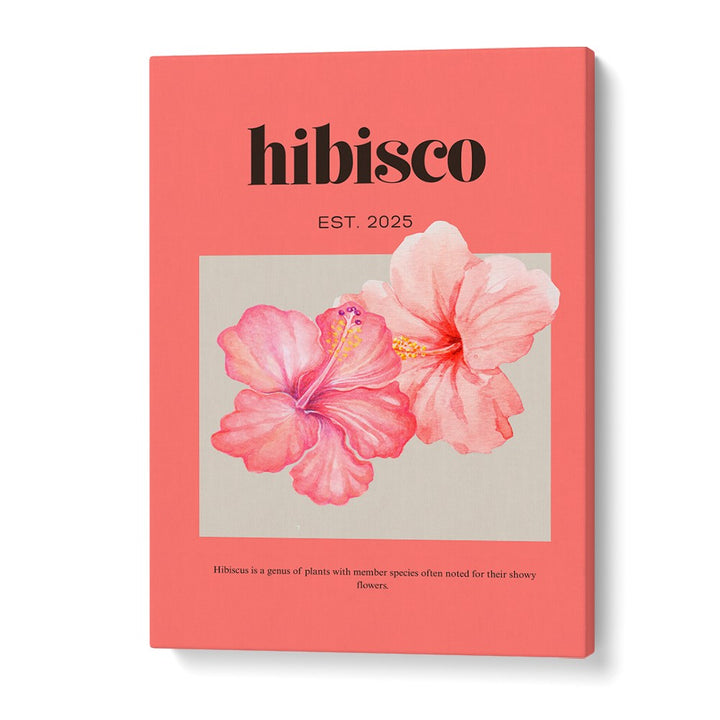 DELICATE PINK HIBISCUS
