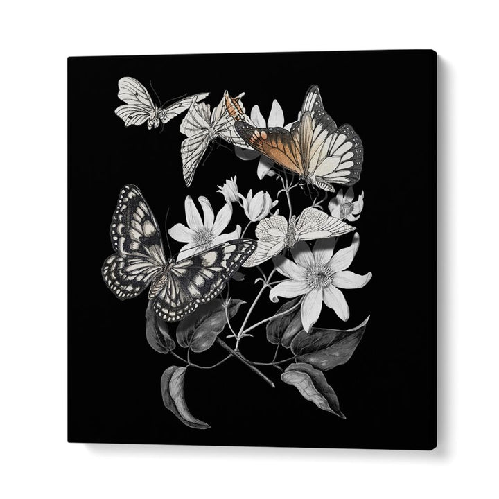ELEGANT BOTANICAL BUTTERFLIES
