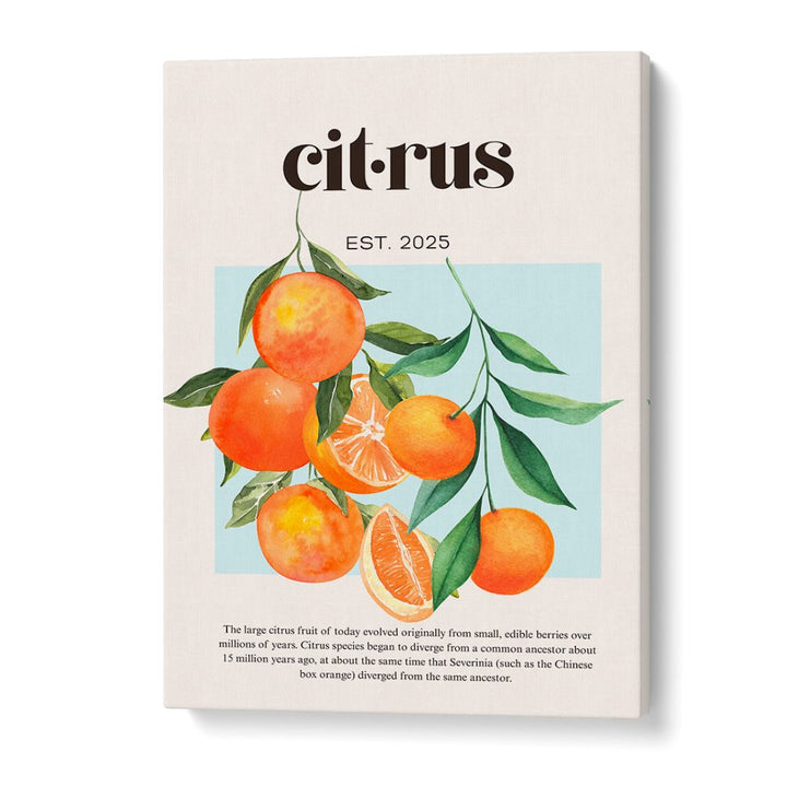 FRESH WATERCOLOR CITRUS