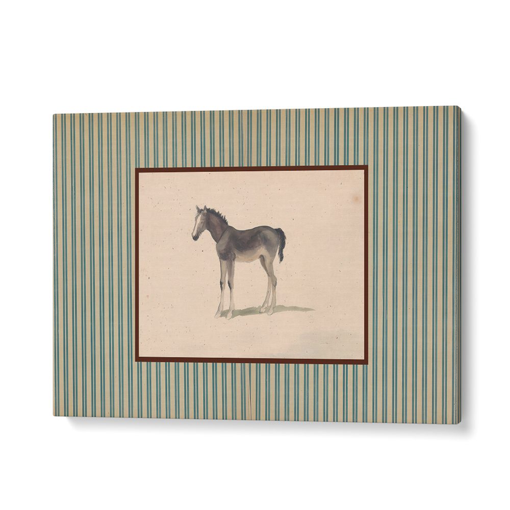 GENTLE FOAL PORTRAIT