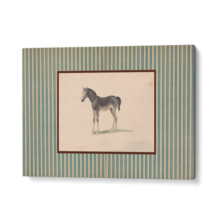 GENTLE FOAL PORTRAIT