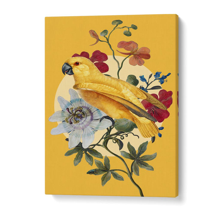 GOLDEN PARROT PASSION FLOWER