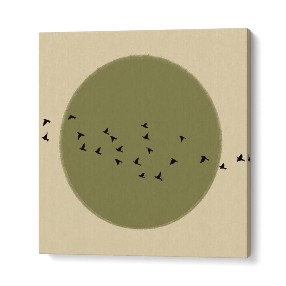 GRACEFUL BIRDS SOARING
