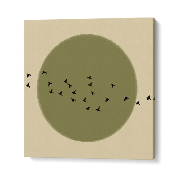 GRACEFUL BIRDS SOARING