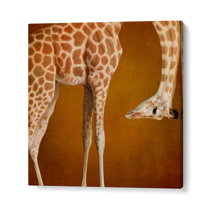 GRACEFUL GIRAFFE PORTRAIT