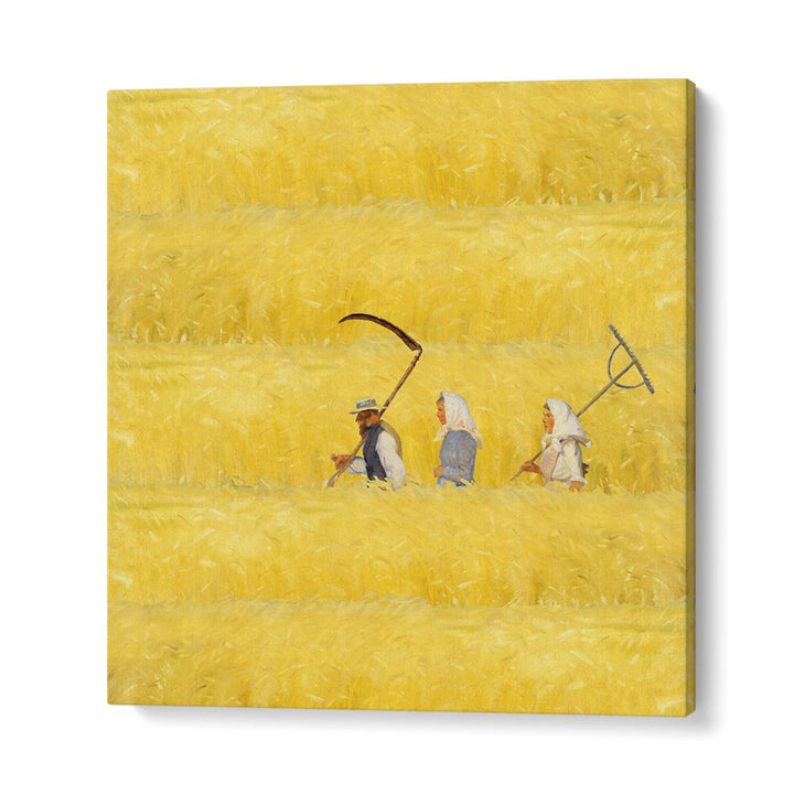 HARVESTERS IN GOLDEN FIELD