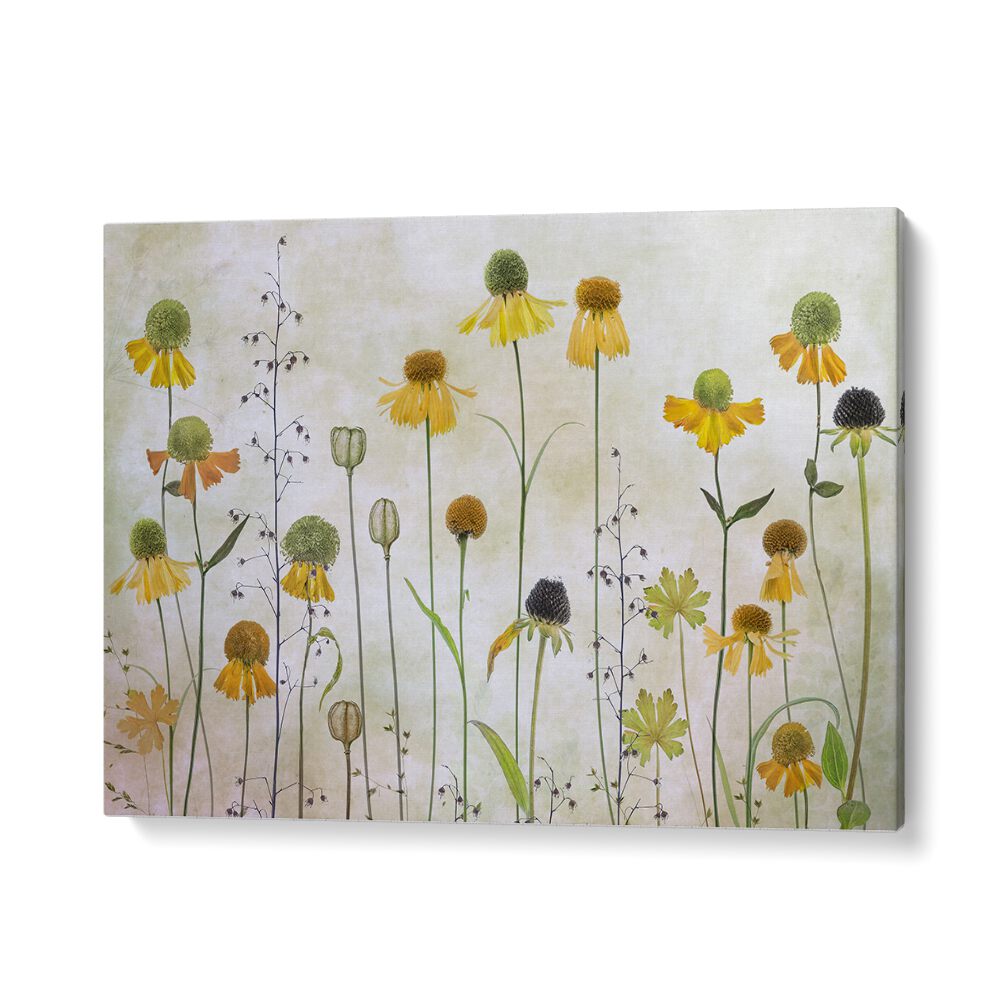 Vibrant HELENIUM, FLORAL FLOWER PAINTINGS enhance your space with modern elegance and stunning floral design.