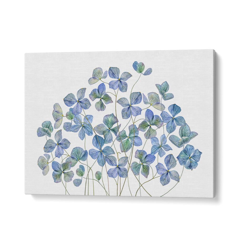 Lifelike HYDRANGEA, FLORAL FLOWER PAINTINGS add elegance and charm to any space with vibrant colors and beauty.