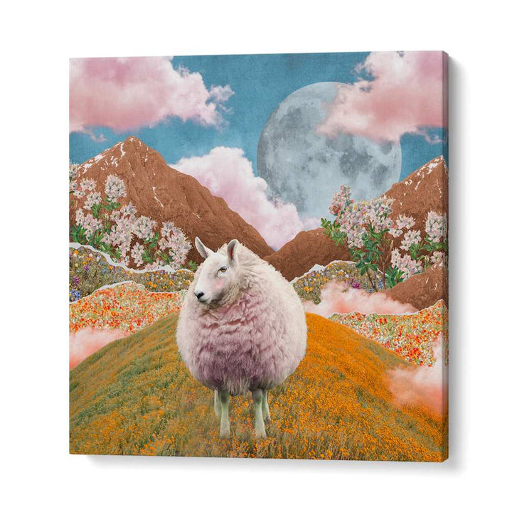LANDSCAPES WITH SHEEP