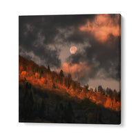 MOON DOESN'T WANT TO GO , LANDSCAPE PHOTOGRAPHY