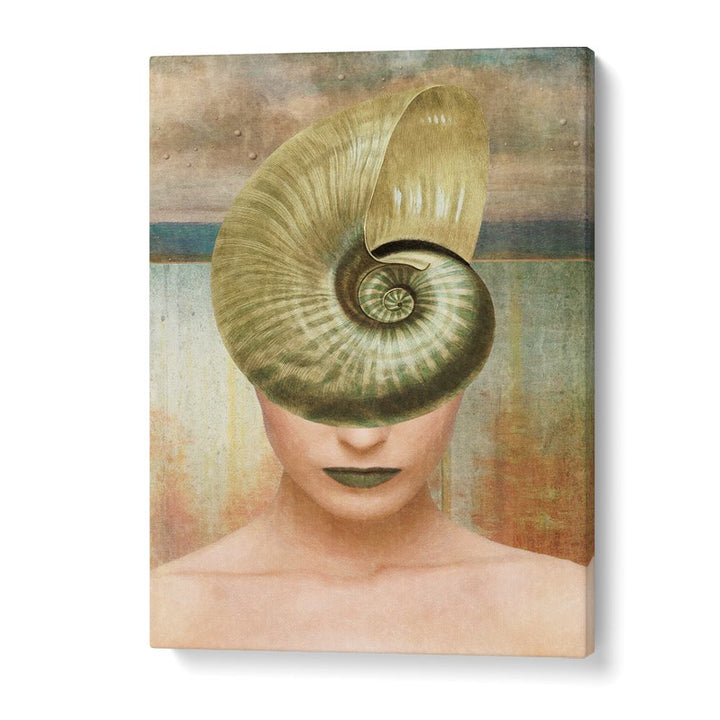 NAUTILUS SHELL PORTRAIT