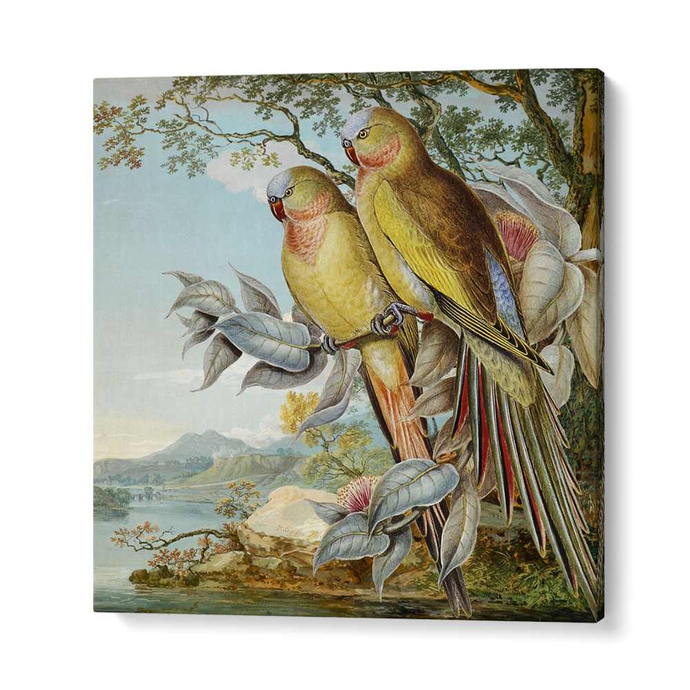 PARROTS IN TROPICAL LANDSCAPE