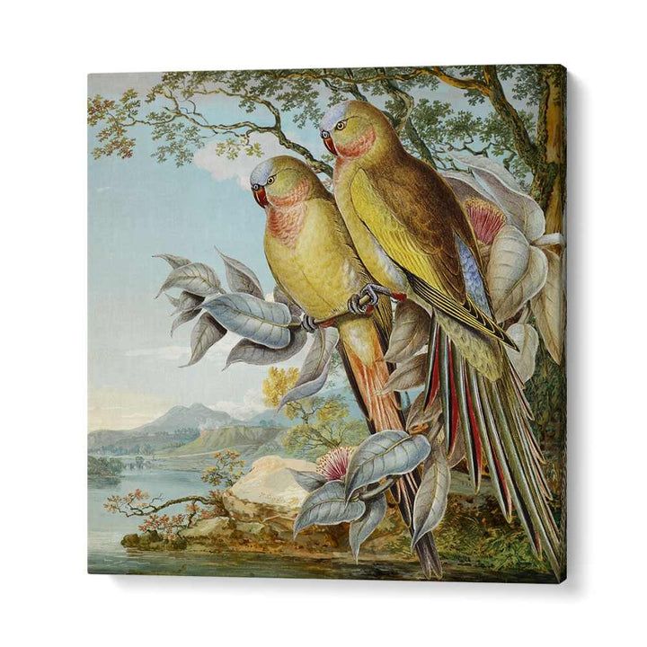 PARROTS IN TROPICAL LANDSCAPE