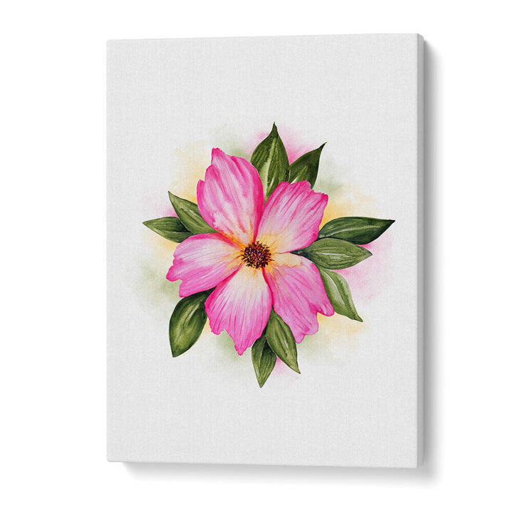 PAEONIA SUFFRUTICOSA , FLORAL FLOWER PAINTINGS