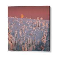 PHOTOGRAPHER , LANDSCAPE PHOTOGRAPHY