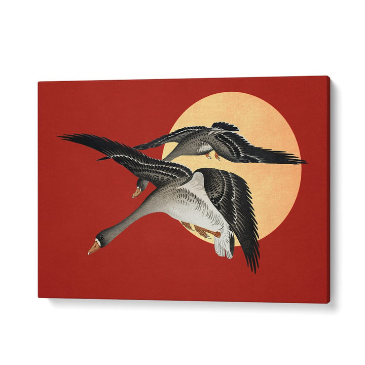 RED SUN GEESE FLIGHT