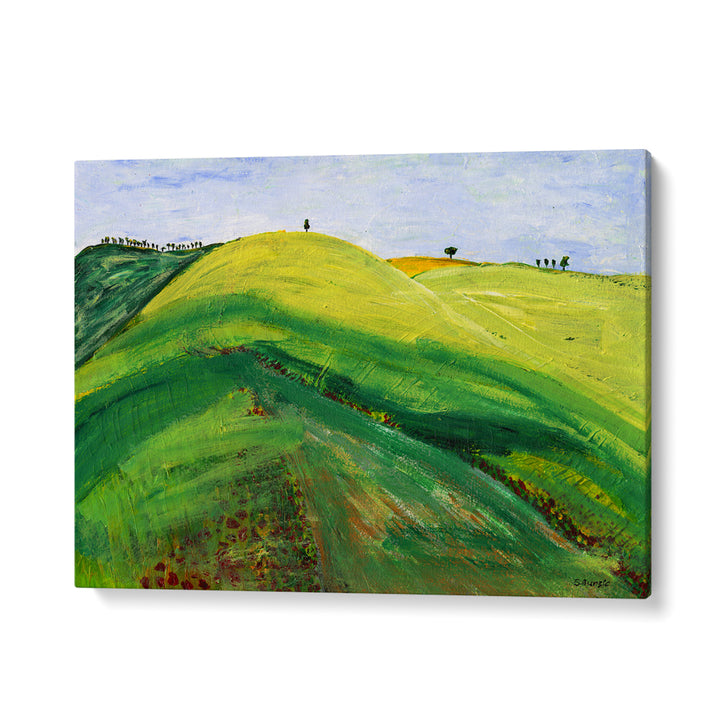 SERENE ROLLING LANDSCAPE