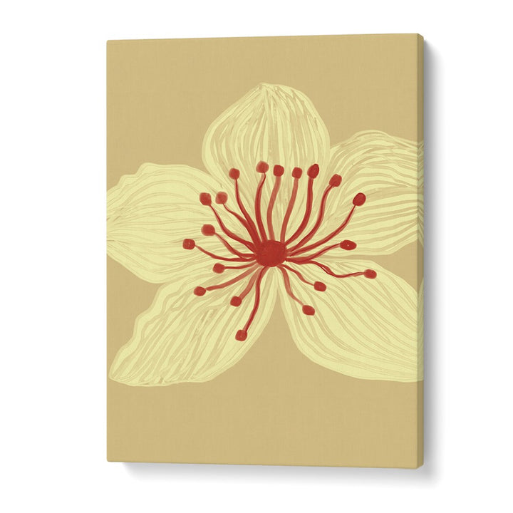 SOFT CREAM BLOSSOM