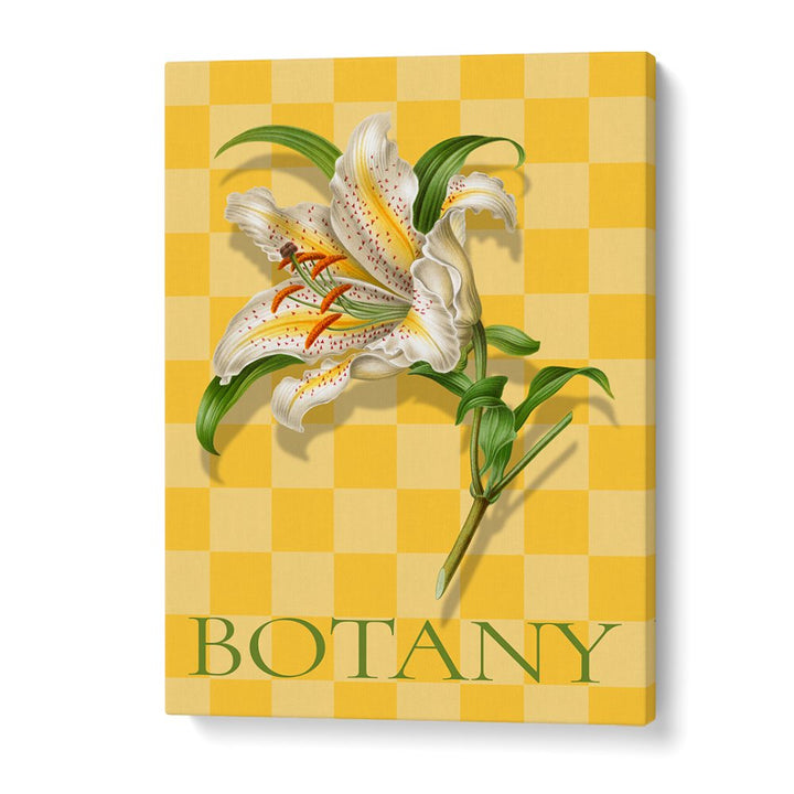 SPOTTED LILY BOTANICAL