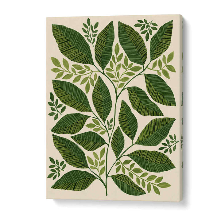 STRIPED LEAVES BRANCH