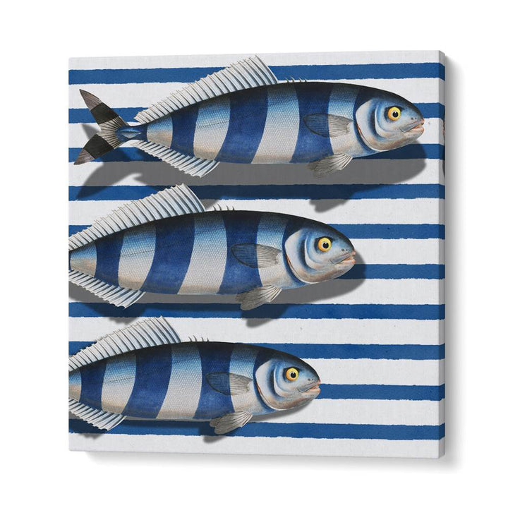 STRIPED OCEAN FISH