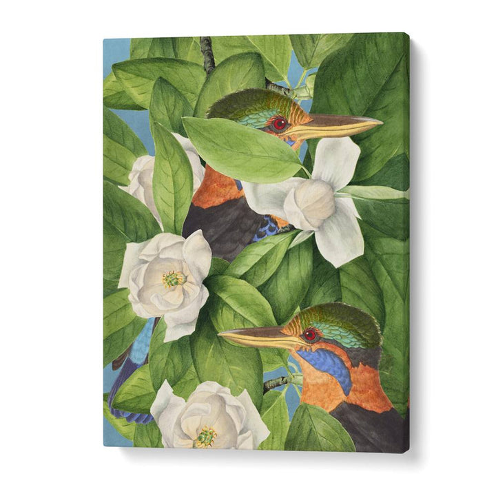 TROPICAL KINGFISHERS MAGNOLIAS