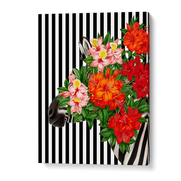 TROPICAL ZEBRA BLOOM