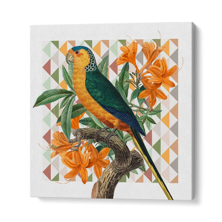 VIBRANT PARROT ILLUSTRATION