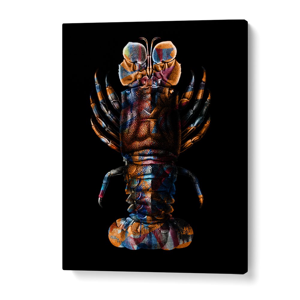 VIBRANT SPINY LOBSTER