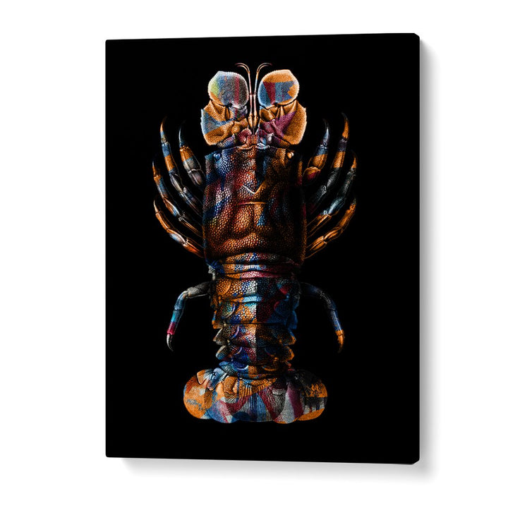 VIBRANT SPINY LOBSTER