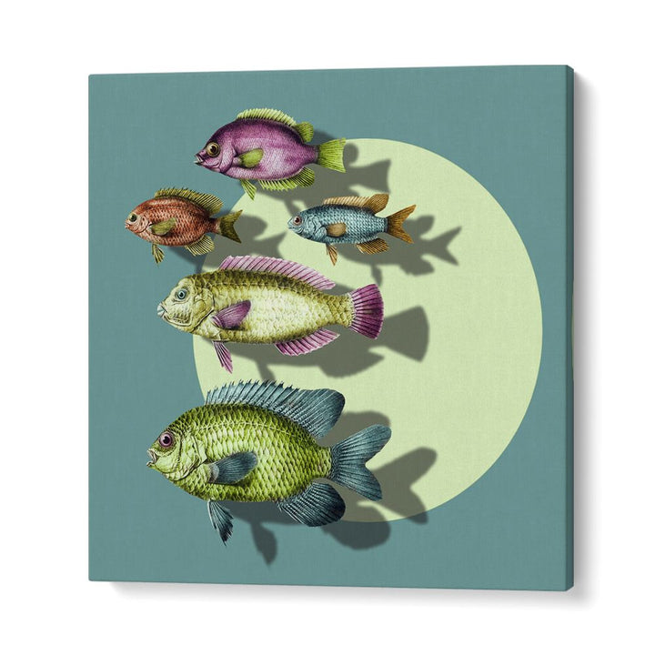VIBRANT SWIMMING FISH