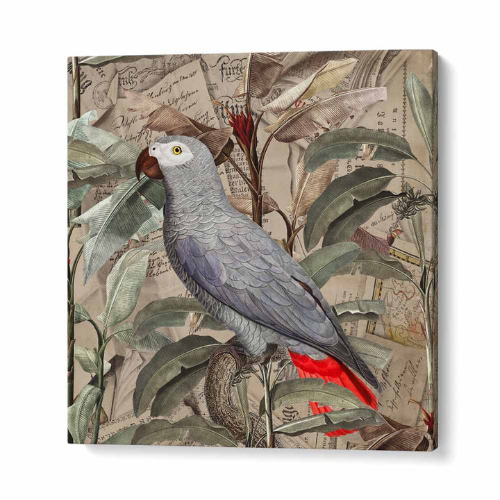 VINTAGE TROPICAL GREY PARROT