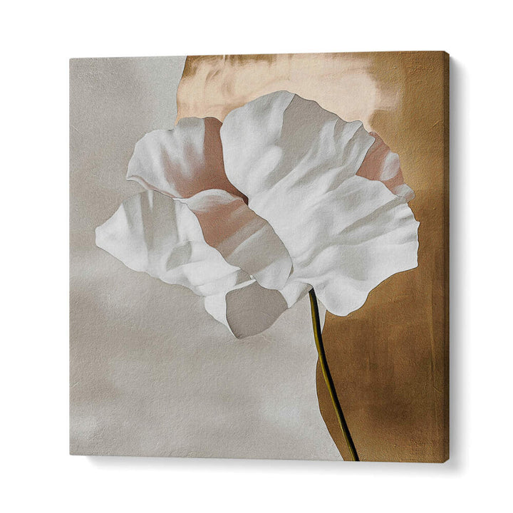 VIRTUOUS I , FLORAL FLOWER PAINTINGS
