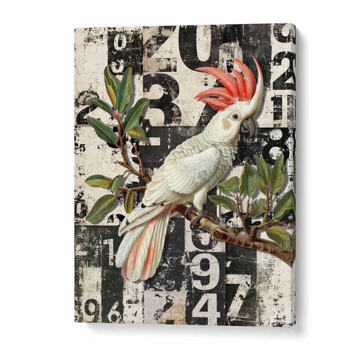 WHITE COCKATOO GRUNGE NUMBERS