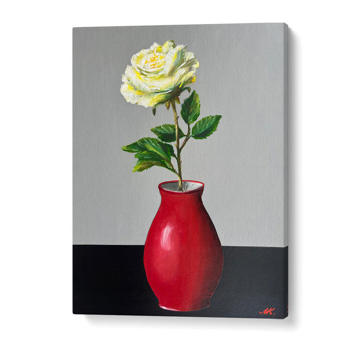WHITE ROSE IN A RED VASE