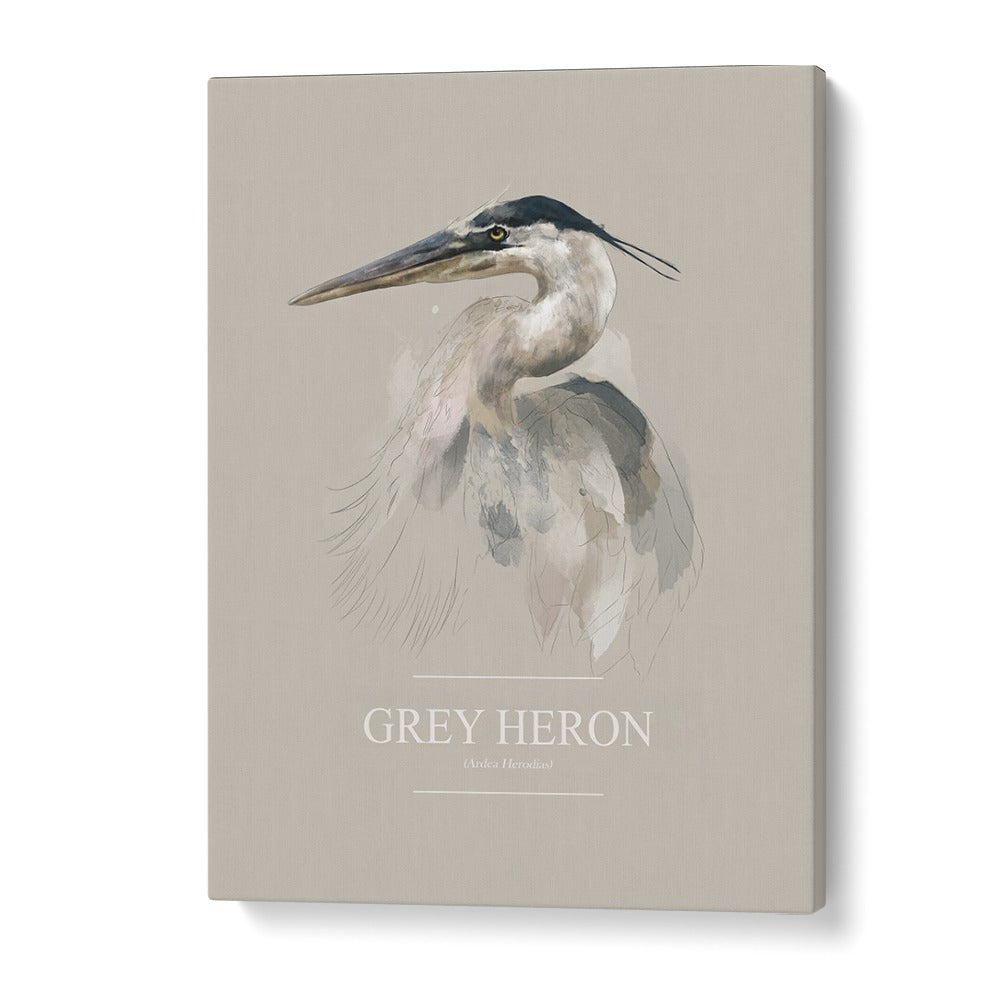 Ohara Koson painting - GREY HERON by Asianmonk