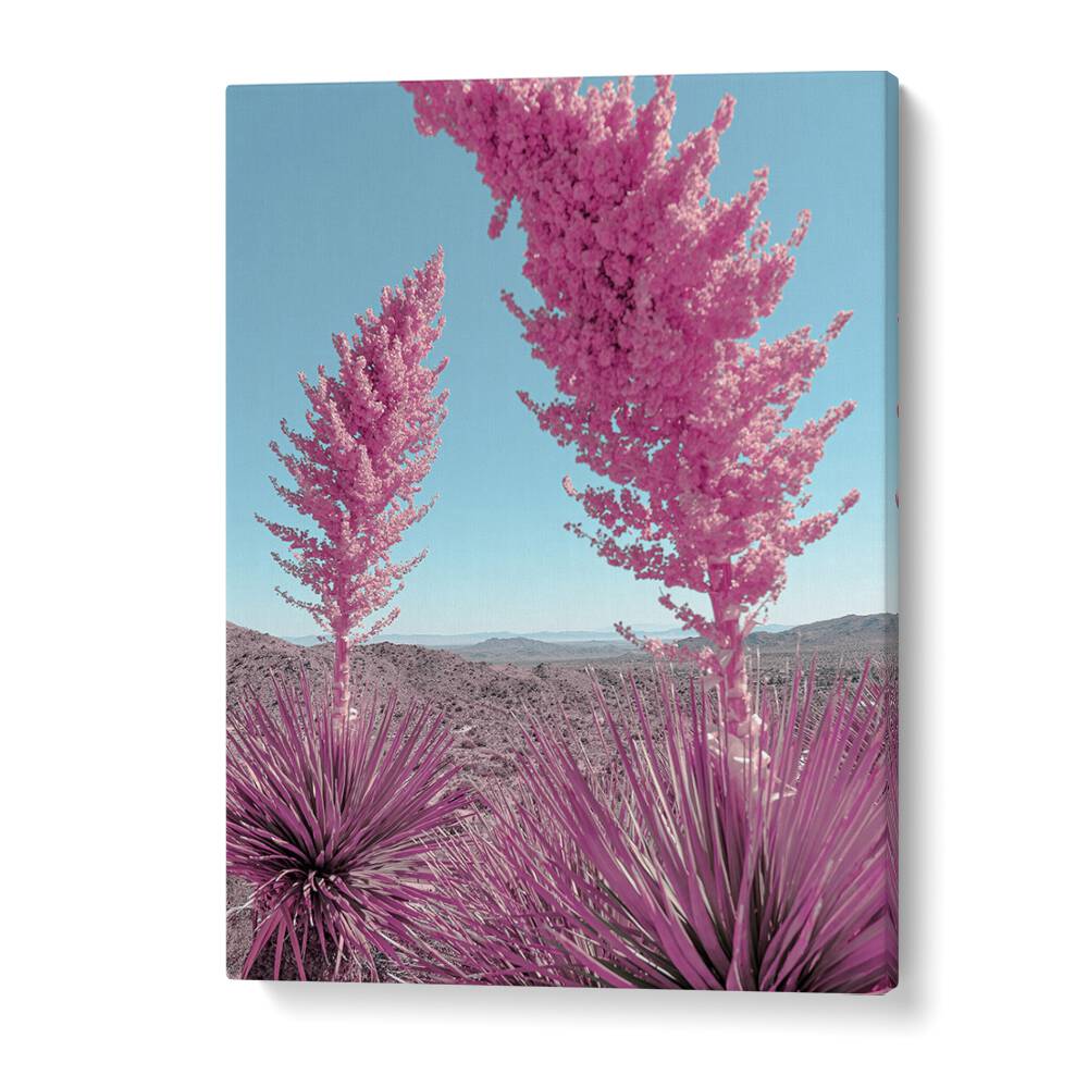 surreal painting - BLOOMING PINK YUCCAS IN THE MOJAVE DESERT by Asianmonk