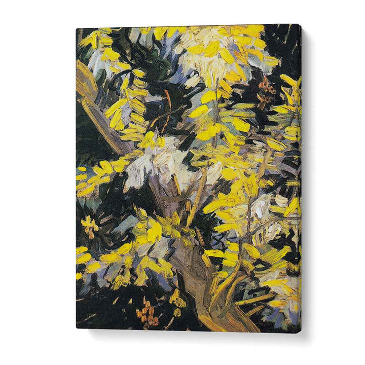 VINCENT VAN GOGH'S BLOSSOMING ACACIA BRANCHES (1890) ,  VINTAGE PAINTINGS