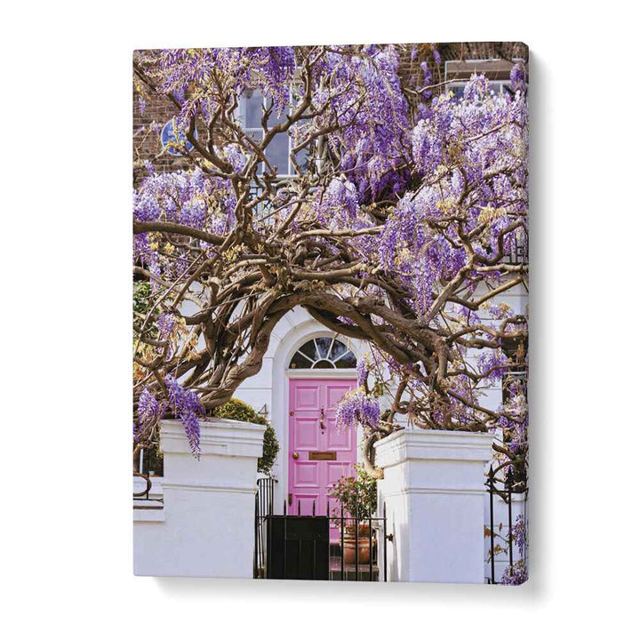 WISTERIA DREAMS , STREET PHOTOGRAPHY ART PRINTS