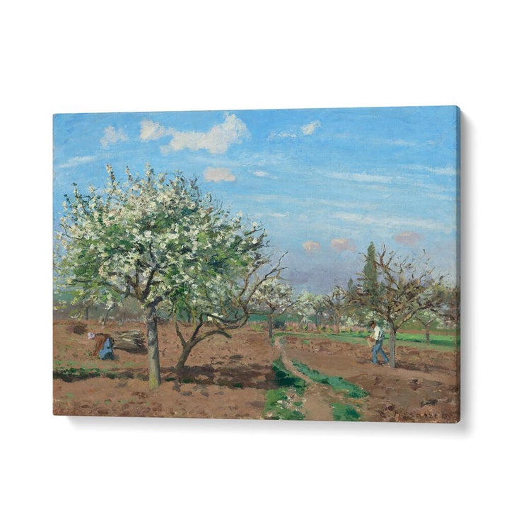 ORCHARD IN BLOOM, LOUVECIENNES (1872) , VINTAGE PAINTINGS