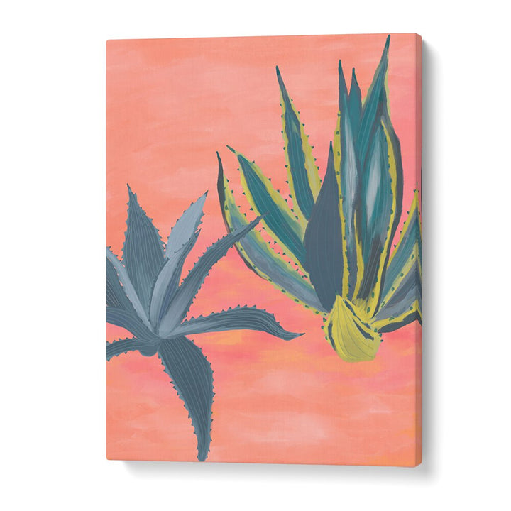 PINK CORAL CACTI , FLORAL FLOWER PAINTINGS