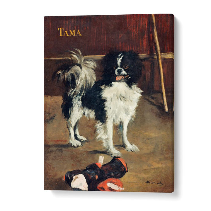 TAMA, THE JAPANESE DOG (1875) BY EDOUARD MANET , VINTAGE PAINTINGS