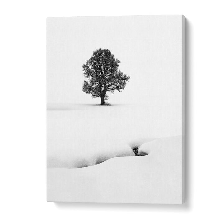 LE SOLITAIRE BY MARC PELISSIER , LANDSCAPE PHOTO PRINTS