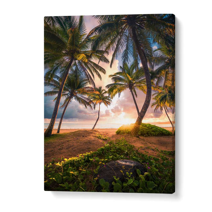 VERTICAL PARADISE , LANDSCAPE PHOTO PRINTS , LANDSCAPE PHOTOGRAPHY