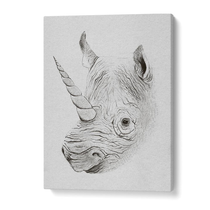 RHINOPLASTY BY FLORENT BODART, WILDLIFE ART PRINTS