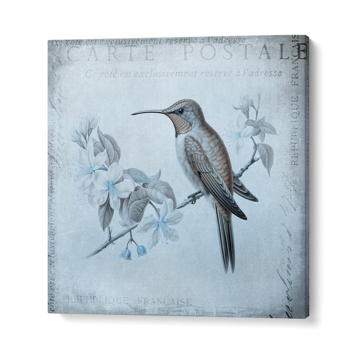 HUMMINGBIRD  ROMANCE AQUA BLUE BY ANDREA HAASE , WILDLIFE POSTERS, WILDLIFE PAINTINGS