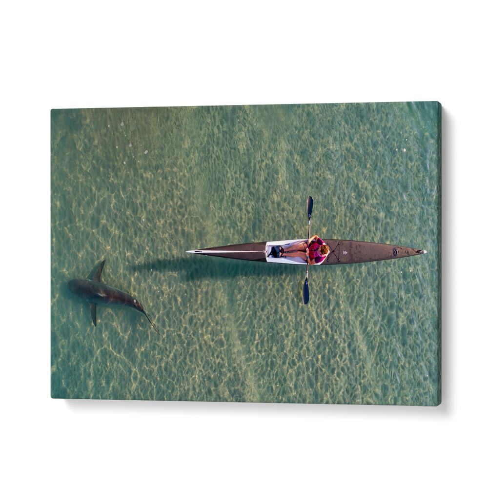 PHOTOGRAPHY painting - SHARK KAYAKING BY IDO MEIROVICH by Asianmonk