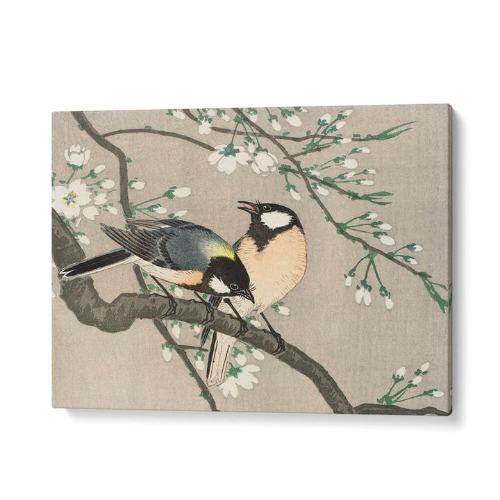 TITS ON CHERRY BRANCH (1900–1910)  , JAPANESE PAINTINGS , JAPANESE ART PRINTS